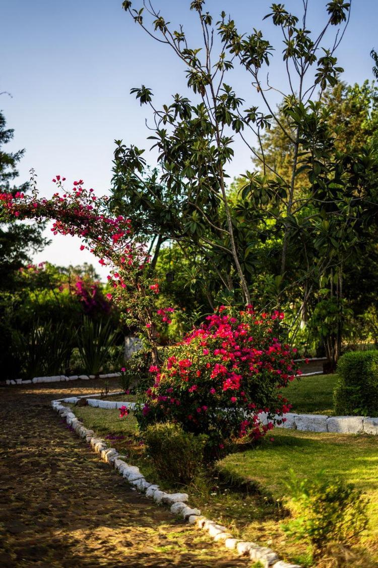 Best Western Plus Posada De Don Vasco Patzcuaro Exterior photo Bougainvillea